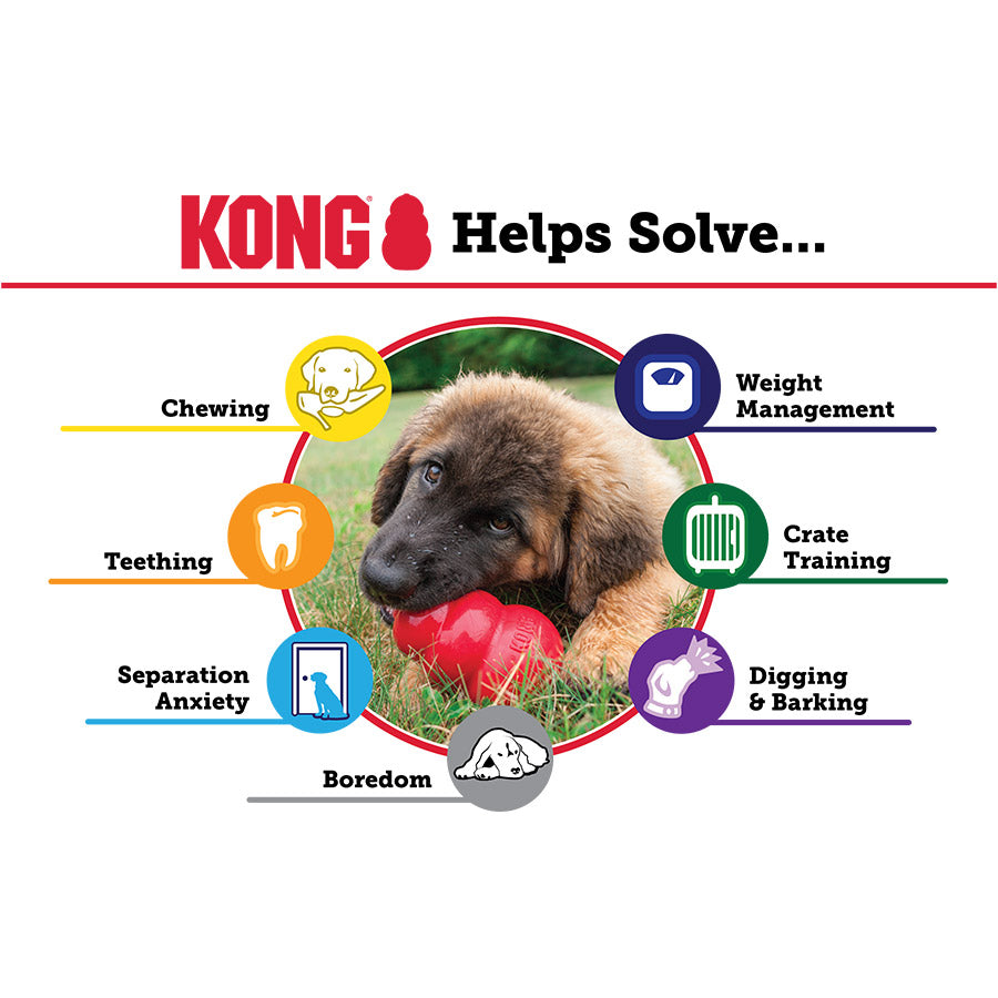 KONG Classic Chew Treat Dog Toy Red Large