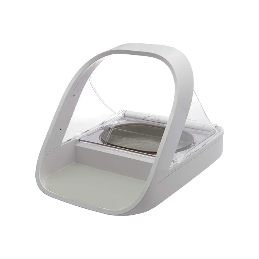Pet Feeding & Toys