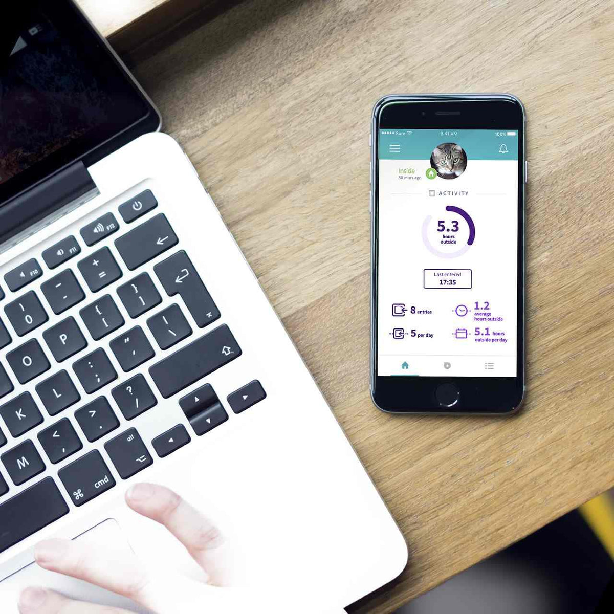 Everything Your Pet Needs, All in One Place